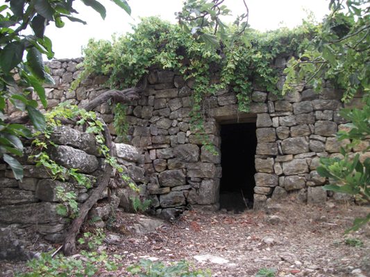 الحاج كامل حسن كنعان في الذاكرة