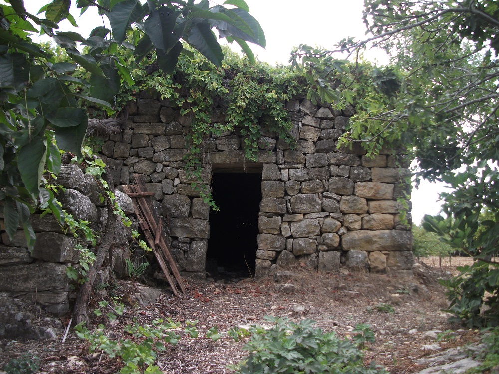 قصة قصيرة - بيت جدي العتيق 