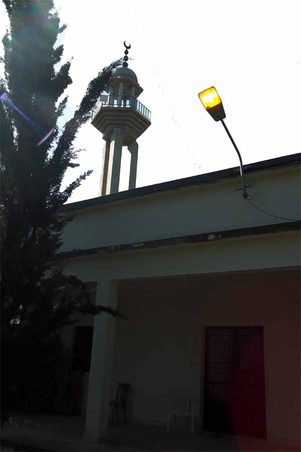 قرية من بلادي : عين الدلبة والحاج جميل عليّ علاّم